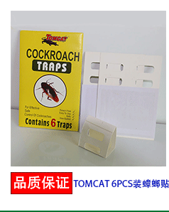 The ultimate killing machine plastic tray in safe deratization deratization plate adhesive glue mouse wholesale The ultimate killing machine plastic tray in safe deratization deratization plate adhesive glue mouse wholesale
