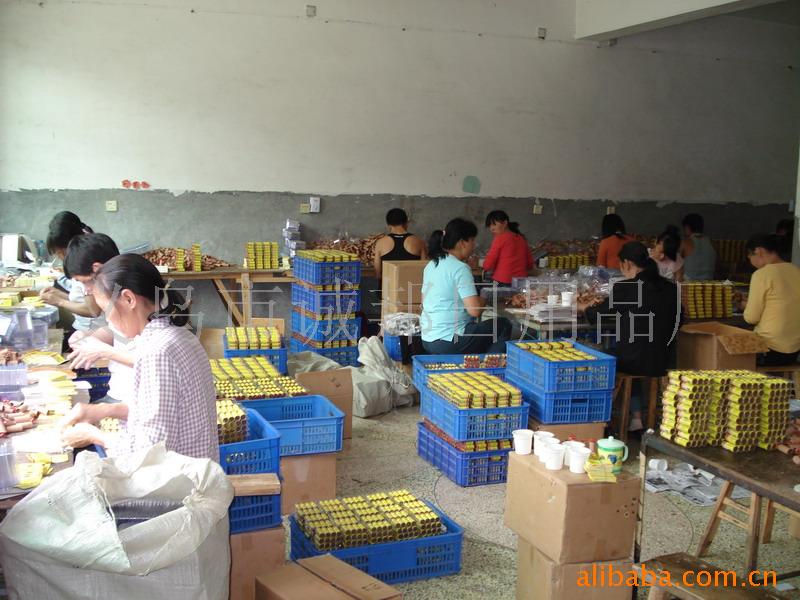 Sticky MOUSE glue MOUSE board Sticky fly glue MOUSE glue sells like hot cakes and lots of wholesale products