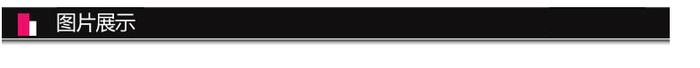 Rong Shibao voice calculator AU-9003AL