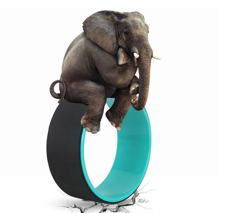 Yoga Wheel Back Bend Artifact Thin Back Thin Shoulder Pilates Roller Stretch Open Back Open Shoulder Yoga Ring Beginner Equipment Yoga Wheel Back Bend Artifact Thin Back Thin Shoulder Pilates Roller Stretch Open Back Open Shoulder Yoga Ring Beginner Equipment