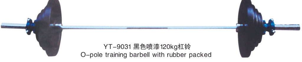Black, lacquered 120kg barbell wholesale price