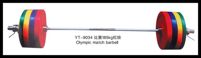 Barbell withing glue 100KG