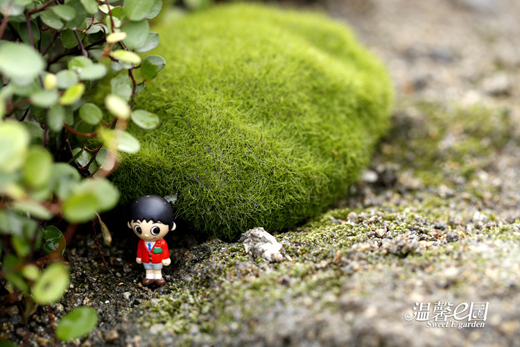 Simulation Moss Moss Stone Flocking Stone Moss Lawn Micro Landscape Ornaments Decorative Simulation Fake Stone Simulation Moss Moss Stone Flocking Stone Moss Lawn Micro Landscape Ornaments Decorative Simulation Fake Stone