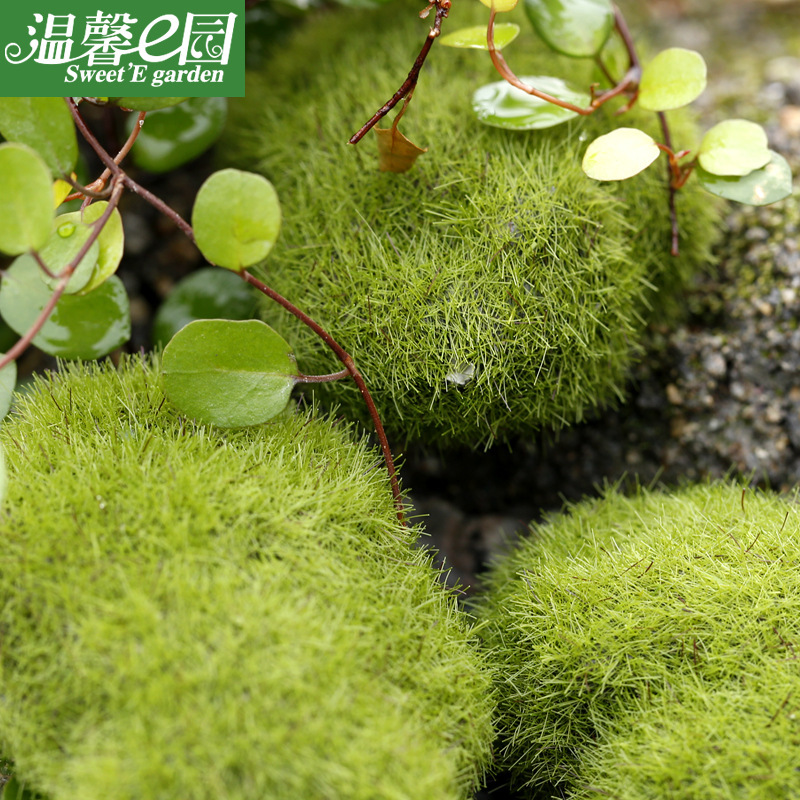 Simulation Moss Moss Stone Flocking Stone Moss Lawn Micro Landscape Ornaments Decorative Simulation Fake Stone