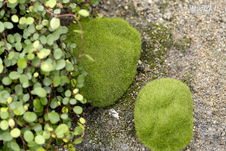 Simulation Moss Moss Stone Flocking Stone Moss Lawn Micro Landscape Ornaments Decorative Simulation Fake Stone Simulation Moss Moss Stone Flocking Stone Moss Lawn Micro Landscape Ornaments Decorative Simulation Fake Stone