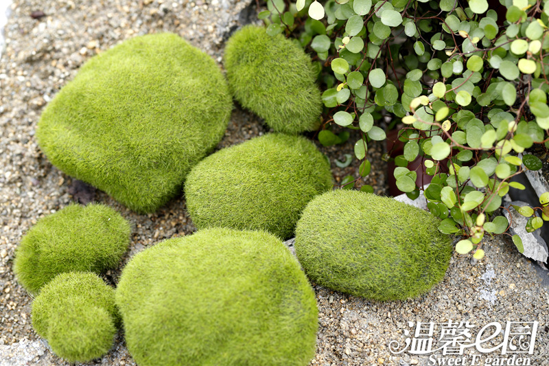 Simulation Moss Moss Stone Flocking Stone Moss Lawn Micro Landscape Ornaments Decorative Simulation Fake Stone Simulation Moss Moss Stone Flocking Stone Moss Lawn Micro Landscape Ornaments Decorative Simulation Fake Stone