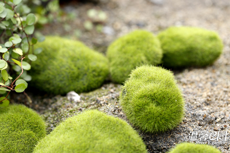 Simulation Moss Moss Stone Flocking Stone Moss Lawn Micro Landscape Ornaments Decorative Simulation Fake Stone Simulation Moss Moss Stone Flocking Stone Moss Lawn Micro Landscape Ornaments Decorative Simulation Fake Stone