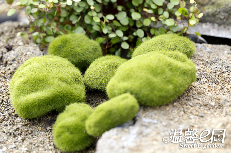 Simulation Moss Moss Stone Flocking Stone Moss Lawn Micro Landscape Ornaments Decorative Simulation Fake Stone Simulation Moss Moss Stone Flocking Stone Moss Lawn Micro Landscape Ornaments Decorative Simulation Fake Stone