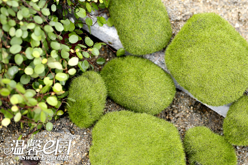 Simulation Moss Moss Stone Flocking Stone Moss Lawn Micro Landscape Ornaments Decorative Simulation Fake Stone Simulation Moss Moss Stone Flocking Stone Moss Lawn Micro Landscape Ornaments Decorative Simulation Fake Stone