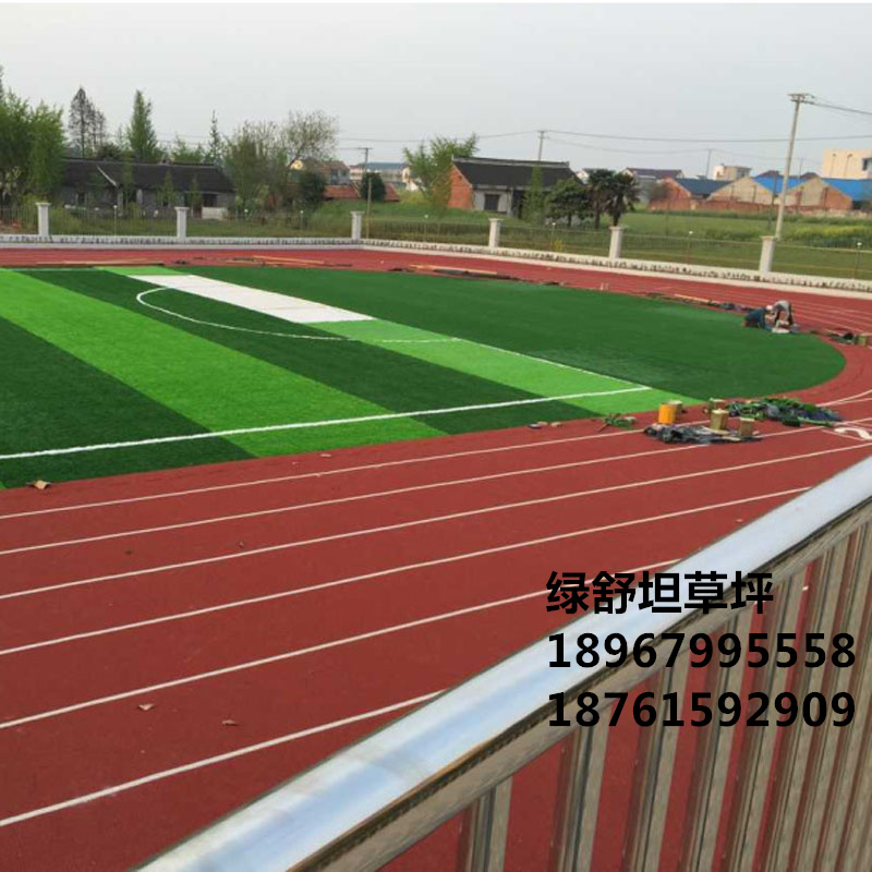 Artificial turf, lawn, lawn, lawn, lawn, lawn, lawn, lawn, carpet, carpet, outdoor