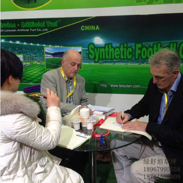 Artificial turf, lawn, lawn, lawn, lawn, lawn, lawn, lawn, carpet, carpet, outdoor Artificial turf, lawn, lawn, lawn, lawn, lawn, lawn, lawn, carpet, carpet, outdoor