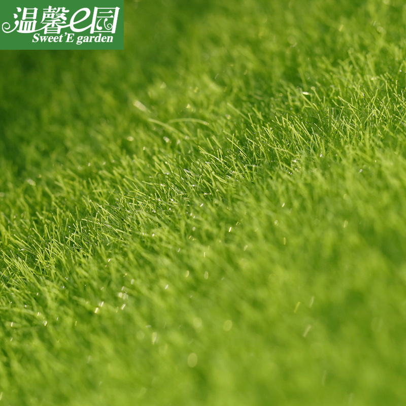 Micro Landscape Creative Simulation Moss Artificial Moss Glass Flower Container Decorative Lawn Moss Fake Leucobryum Glaucum