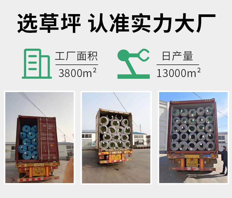 Artificial Emulational Lawn Factory Kindergarten Football Field Grass Rug Engineering Enclosure Green Plastic Artificial Fake Turf