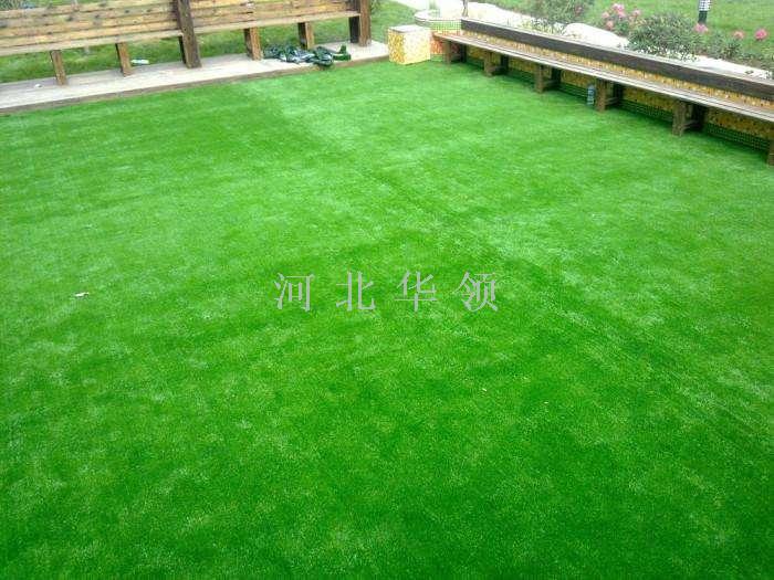 Turf small grass large grass roll grass football field park lawn