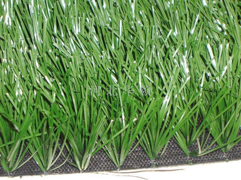 Turf small grass large grass roll grass football field park lawn