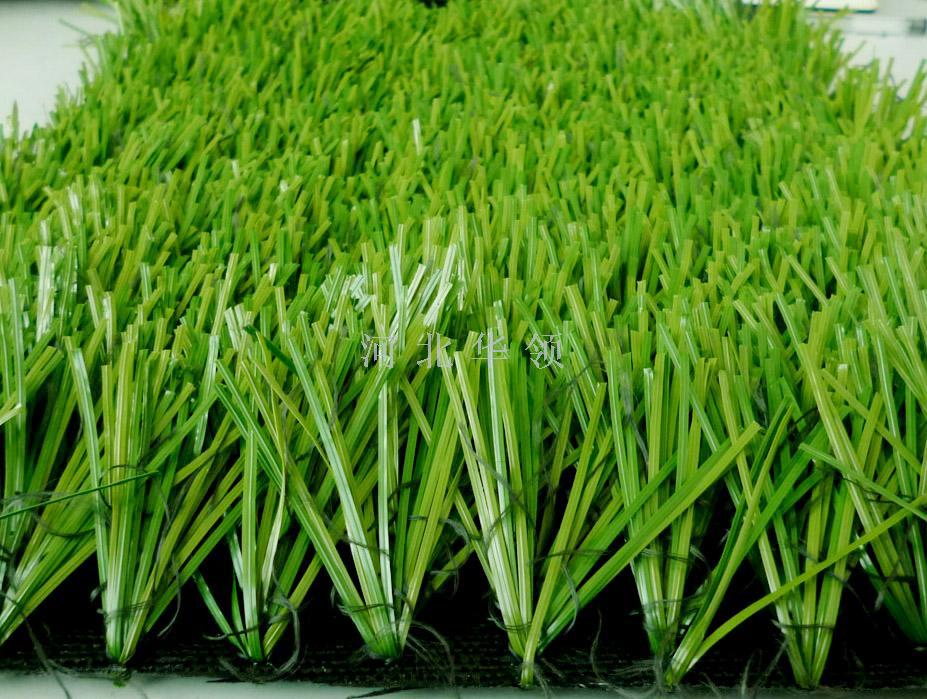Turf small grass large grass roll grass football field park lawn