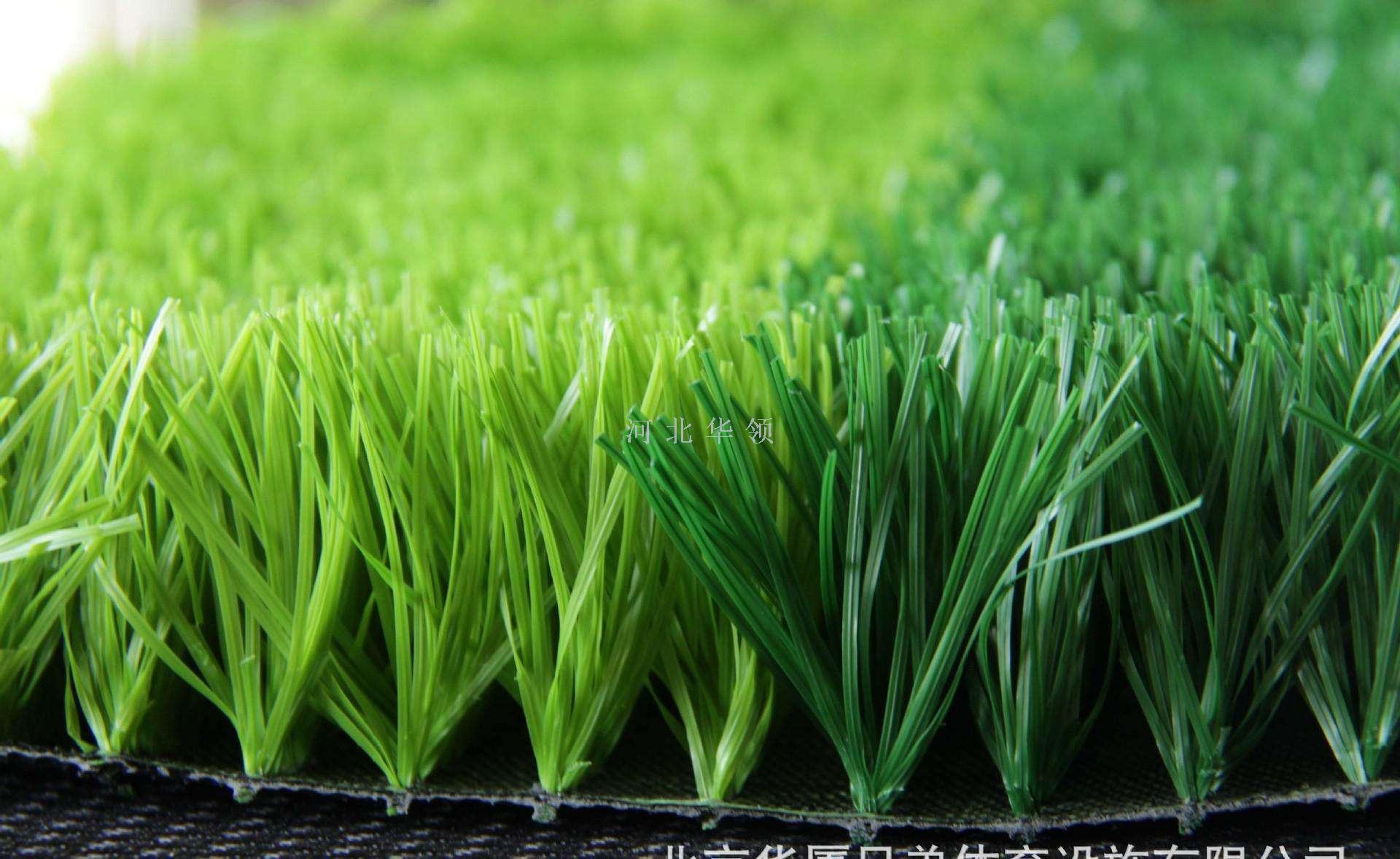 Turf small grass large grass roll grass football field park lawn
