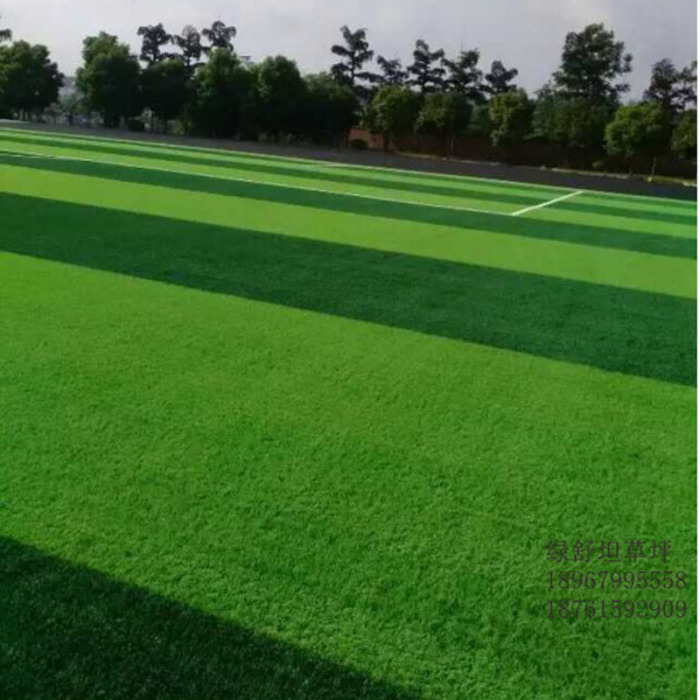 Factory direct garden private dense evergreen landscape lawn lawn lawn Factory direct garden private dense evergreen landscape lawn lawn lawn