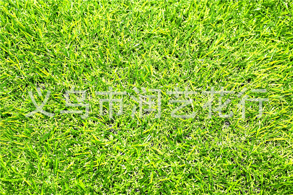 Factory simulation encryption for artificial turf football casual private artificial lawn grass carpet grass Factory simulation encryption for artificial turf football casual private artificial lawn grass carpet grass
