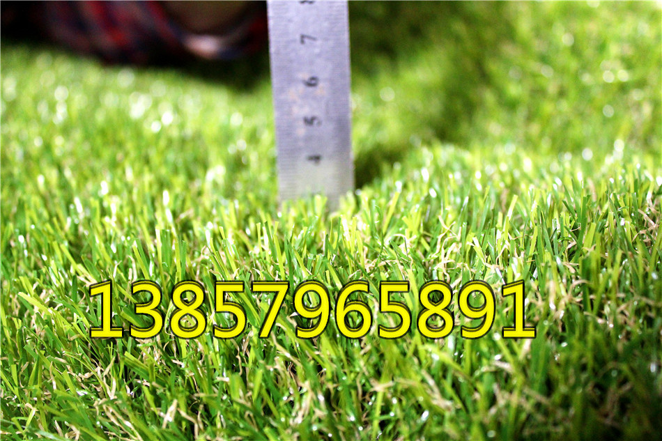 Factory simulation encryption for artificial turf football casual private artificial lawn grass carpet grass Factory simulation encryption for artificial turf football casual private artificial lawn grass carpet grass