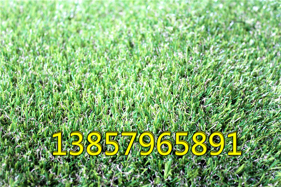 Factory simulation encryption for artificial turf football casual private artificial lawn grass carpet grass Factory simulation encryption for artificial turf football casual private artificial lawn grass carpet grass