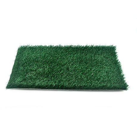 Amazon&#039;s new pet mat dog toilet lawn toilet teddy golden retriever small dog potty