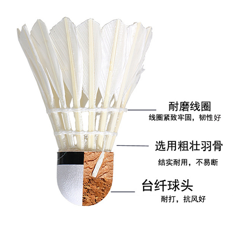 Regail Authentic Badminton Durable Training Shuttlecock Cork 6 PCs 12 PCs Pack Durable Nylon Badminton Regail Authentic Badminton Durable Training Shuttlecock Cork 6 PCs 12 PCs Pack Durable Nylon Badminton