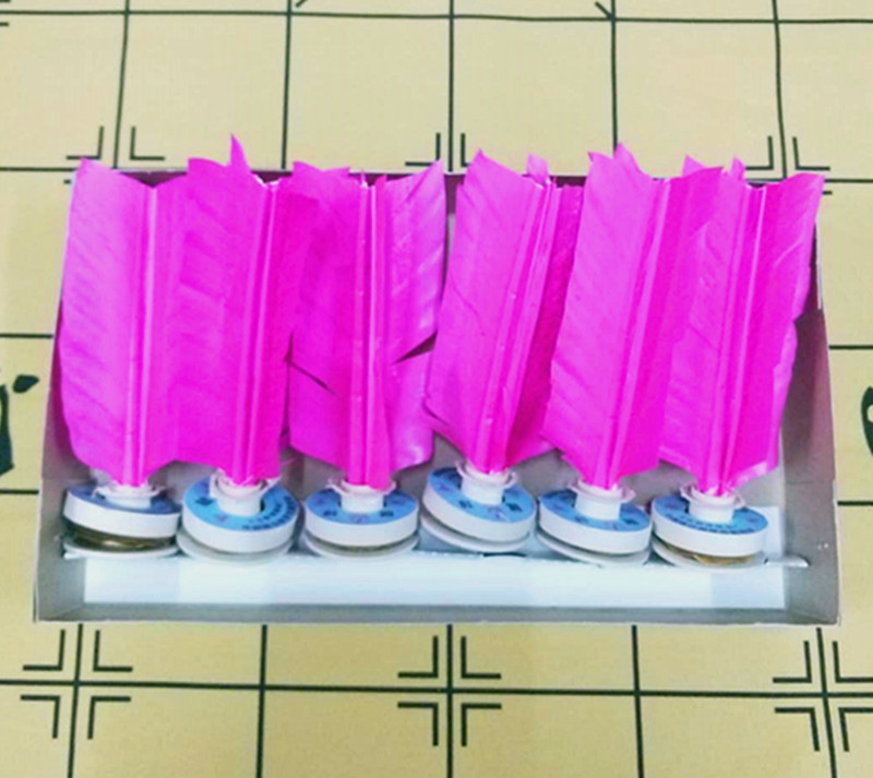 Xinjian Brand Taicang 306 Shuttlecock Taicang Shuttlecock Student Shuttlecock Competition Training Shuttlecock White Pink Xinjian Brand Taicang 306 Shuttlecock Taicang Shuttlecock Student Shuttlecock Competition Training Shuttlecock White Pink
