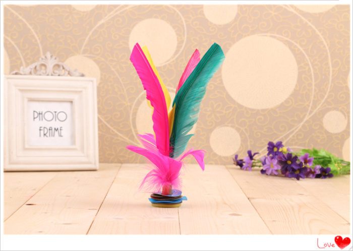 Feather shuttlecock, BFV, BFV, BFV, BFV Feather shuttlecock, BFV, BFV, BFV, BFV