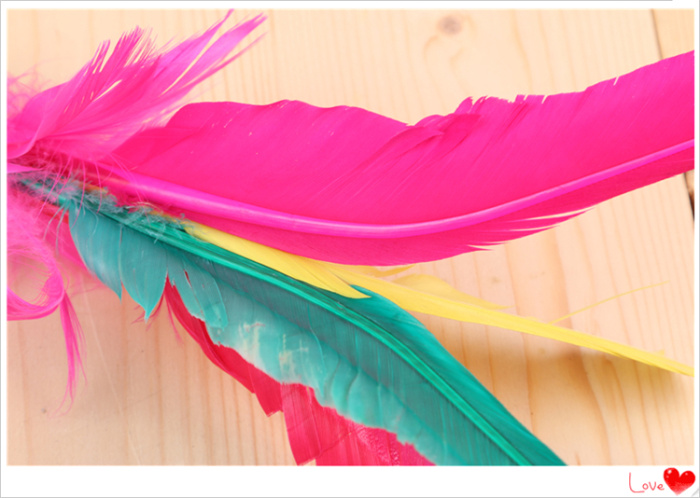 Feather shuttlecock, BFV, BFV, BFV, BFV Feather shuttlecock, BFV, BFV, BFV, BFV