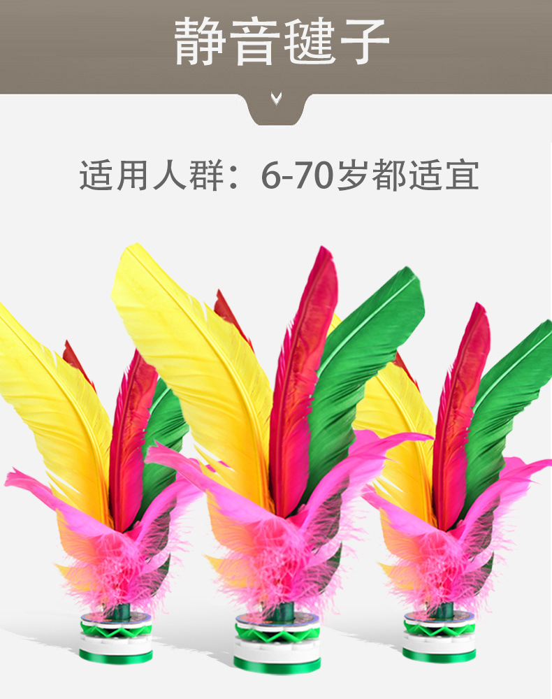 Factory Wholesale Color Kick Shuttlecock Adult and Children Fitness Color Goose Feather Shuttlecock Primary and Secondary School Students Big Flower Factory Wholesale Color Kick Shuttlecock Adult and Children Fitness Color Goose Feather Shuttlecock Primary and Secondary School Students Big Flower