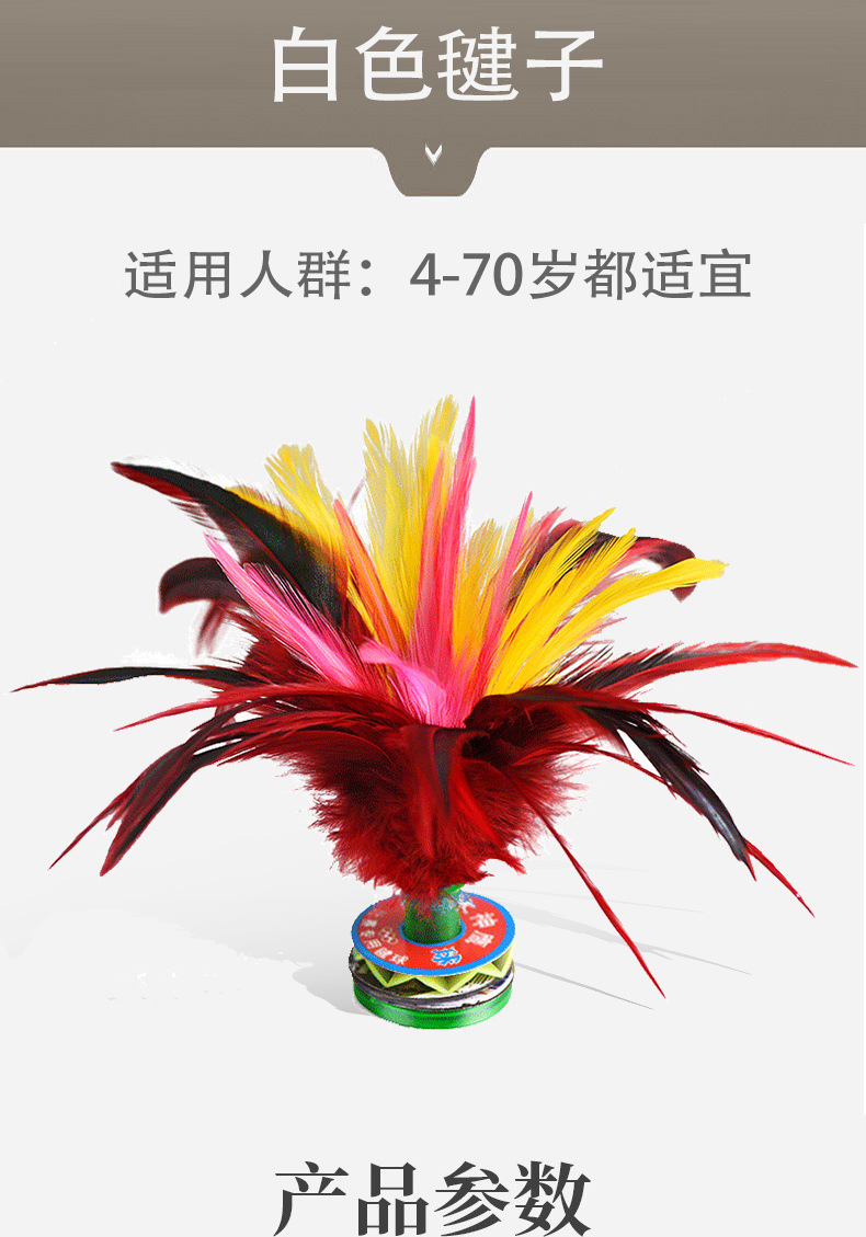 Factory Wholesale Color Kick Shuttlecock Adult and Children Fitness Color Goose Feather Shuttlecock Primary and Secondary School Students Big Flower Factory Wholesale Color Kick Shuttlecock Adult and Children Fitness Color Goose Feather Shuttlecock Primary and Secondary School Students Big Flower