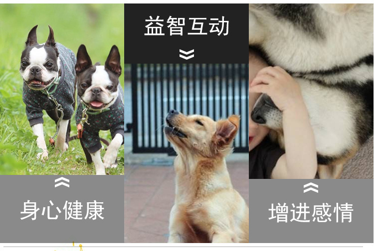 Pet Toy Large, Medium and Small Dogs Training Guide Oxford Cloth Triangle Frisbee Bite-Resistant Darts Dog Toy Factory Direct Sales Pet Toy Large, Medium and Small Dogs Training Guide Oxford Cloth Triangle Frisbee Bite-Resistant Darts Dog Toy Factory Direct Sales