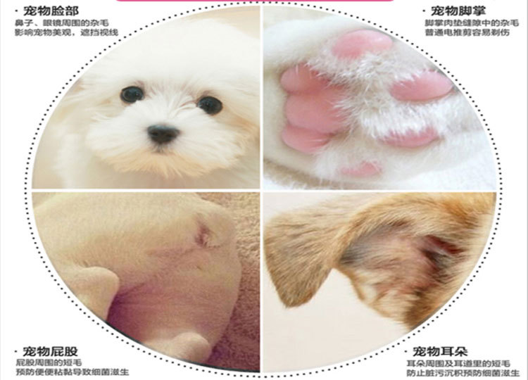 Mini pet foot shaver manicure teddy dog and cat foot shaver clipper partial electric clipper