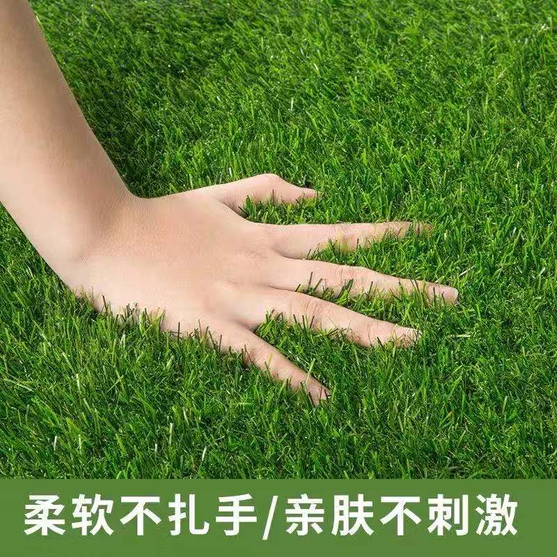Jietai Carpet Emulational Lawn Floor Mat Artificial Green Turf Mat Football Field Outdoor Green Plant Decoration Plastic Carpeting Jietai Carpet Emulational Lawn Floor Mat Artificial Green Turf Mat Football Field Outdoor Green Plant Decoration Plastic Carpeting