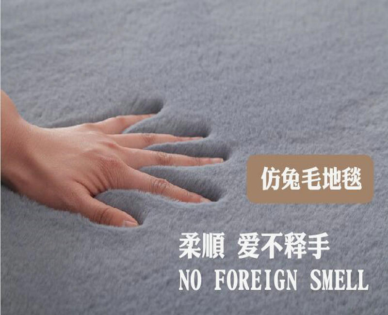 Imitation Rabbit Fur Carpet Living Room Bedroom Simple Nordic Sofa and Tea Table Bedside Fully Washed Cute Household Floor Mat