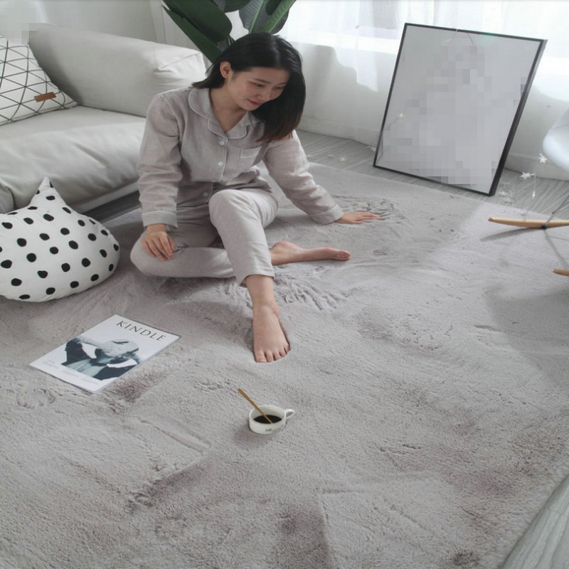 Imitation Rabbit Fur Carpet Living Room Bedroom Simple Nordic Sofa and Tea Table Bedside Fully Washed Cute Household Floor Mat