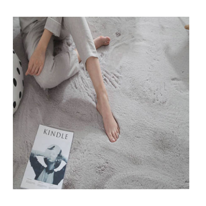 Imitation Rabbit Fur Carpet Living Room Bedroom Simple Nordic Sofa and Tea Table Bedside Fully Washed Cute Household Floor Mat