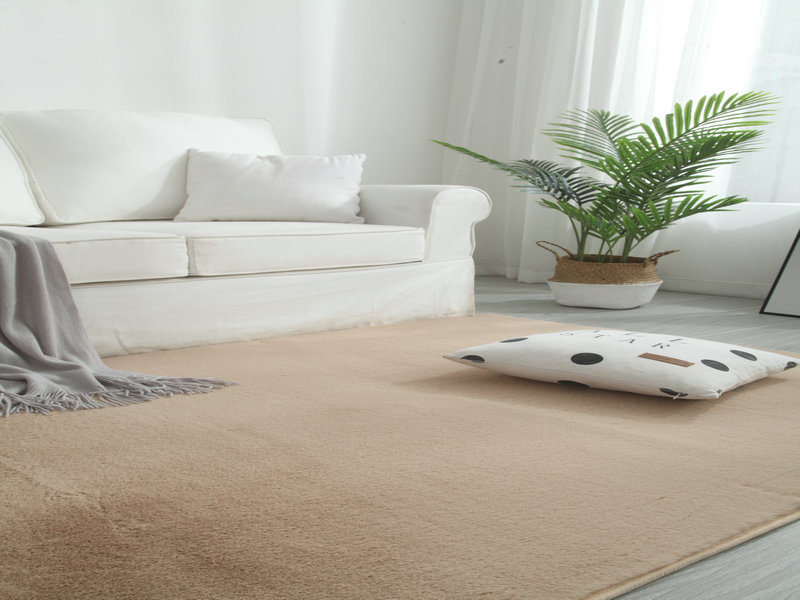 Imitation Rabbit Fur Carpet Living Room Bedroom Simple Nordic Sofa and Tea Table Bedside Fully Washed Cute Household Floor Mat Imitation Rabbit Fur Carpet Living Room Bedroom Simple Nordic Sofa and Tea Table Bedside Fully Washed Cute Household Floor Mat