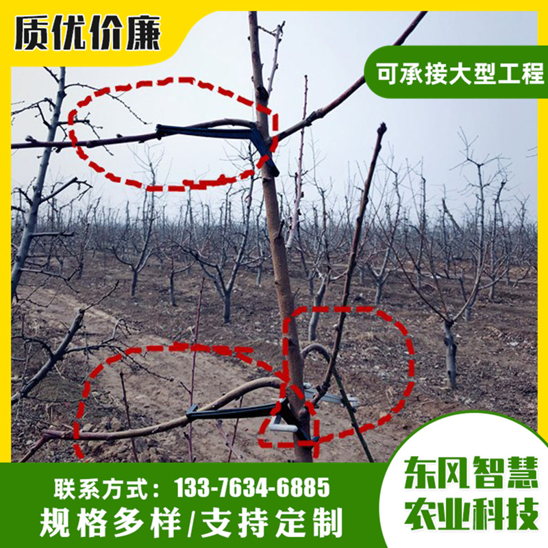 Adjustable Branch Press Opening Horn Work Save Artificial Quantity Discounts Garden Tools Fruit Tree Branch Pulling Fixing Device