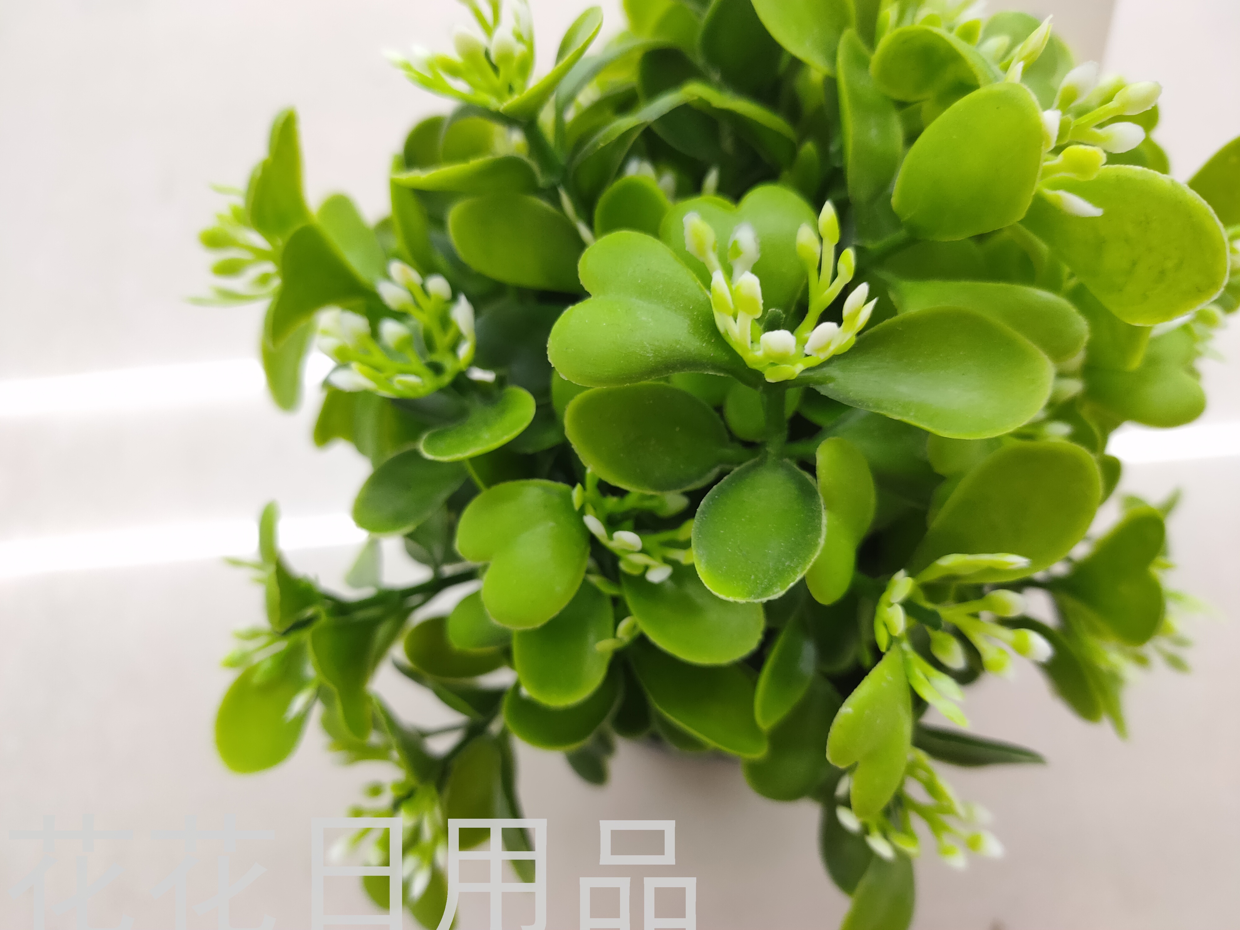 Artificial/Fake Flower Black Plastic Basin Greenery Bonsai Decorative Living Room Bedroom Dining Table and So on