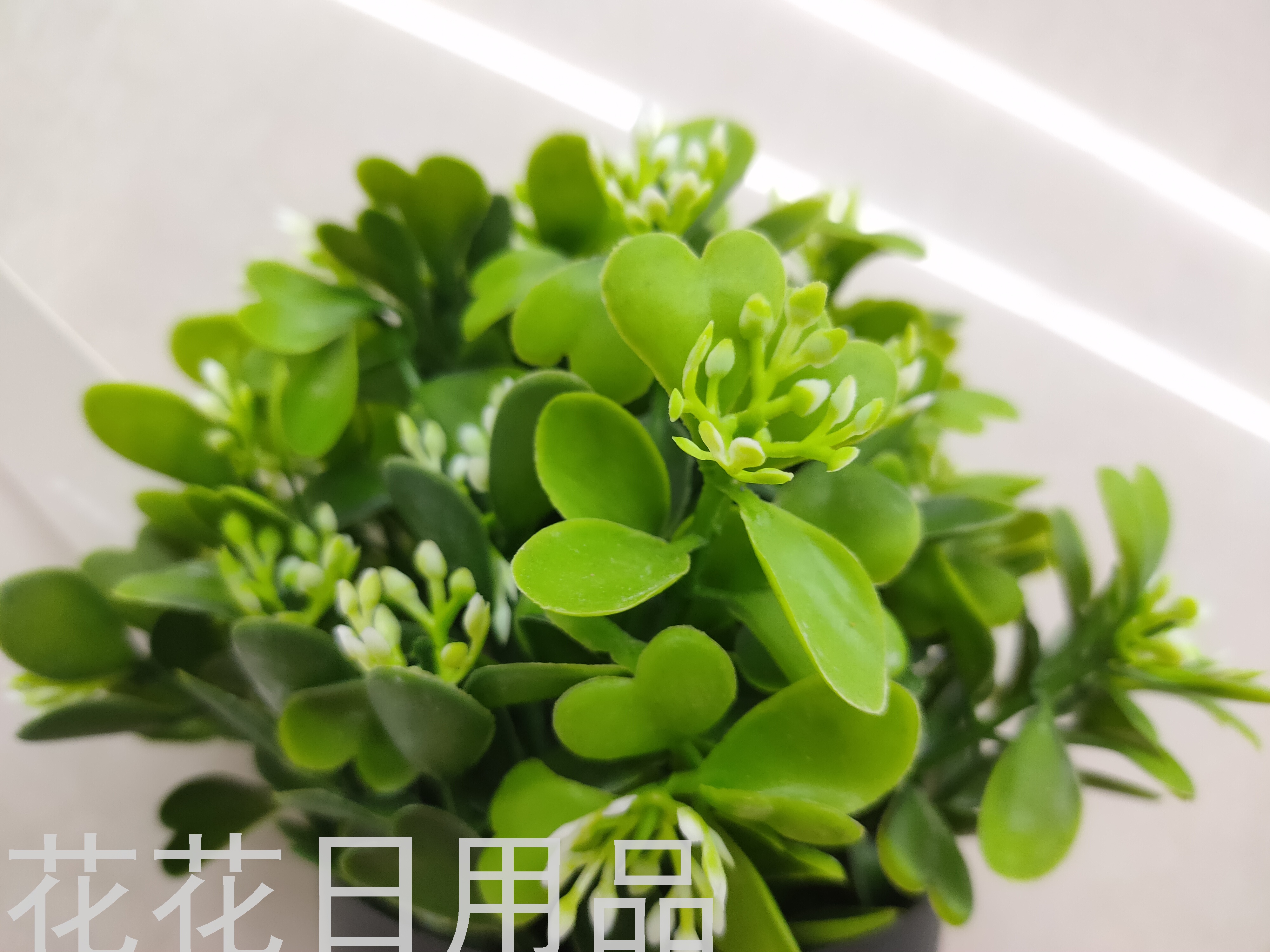 Artificial/Fake Flower Black Plastic Basin Greenery Bonsai Decorative Living Room Bedroom Dining Table and So on Artificial/Fake Flower Black Plastic Basin Greenery Bonsai Decorative Living Room Bedroom Dining Table and So on