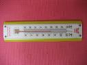 Thermometer plastic thermometer SD9209