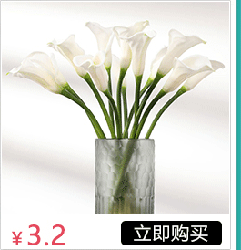 Artificial Flower Malt Grass Wedding Flower Arrangement Fur Grass Home Decoration Plastic Fake Flower Green Bristlegrass Floriculture Decoration Wholesale Artificial Flower Malt Grass Wedding Flower Arrangement Fur Grass Home Decoration Plastic Fake Flower Green Bristlegrass Floriculture Decoration Wholesale
