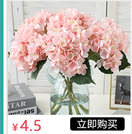 Artificial Flower Malt Grass Wedding Flower Arrangement Fur Grass Home Decoration Plastic Fake Flower Green Bristlegrass Floriculture Decoration Wholesale Artificial Flower Malt Grass Wedding Flower Arrangement Fur Grass Home Decoration Plastic Fake Flower Green Bristlegrass Floriculture Decoration Wholesale