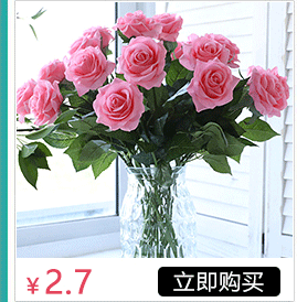 Artificial Flower Malt Grass Wedding Flower Arrangement Fur Grass Home Decoration Plastic Fake Flower Green Bristlegrass Floriculture Decoration Wholesale Artificial Flower Malt Grass Wedding Flower Arrangement Fur Grass Home Decoration Plastic Fake Flower Green Bristlegrass Floriculture Decoration Wholesale