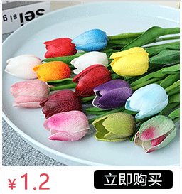 Artificial Flower Malt Grass Wedding Flower Arrangement Fur Grass Home Decoration Plastic Fake Flower Green Bristlegrass Floriculture Decoration Wholesale Artificial Flower Malt Grass Wedding Flower Arrangement Fur Grass Home Decoration Plastic Fake Flower Green Bristlegrass Floriculture Decoration Wholesale