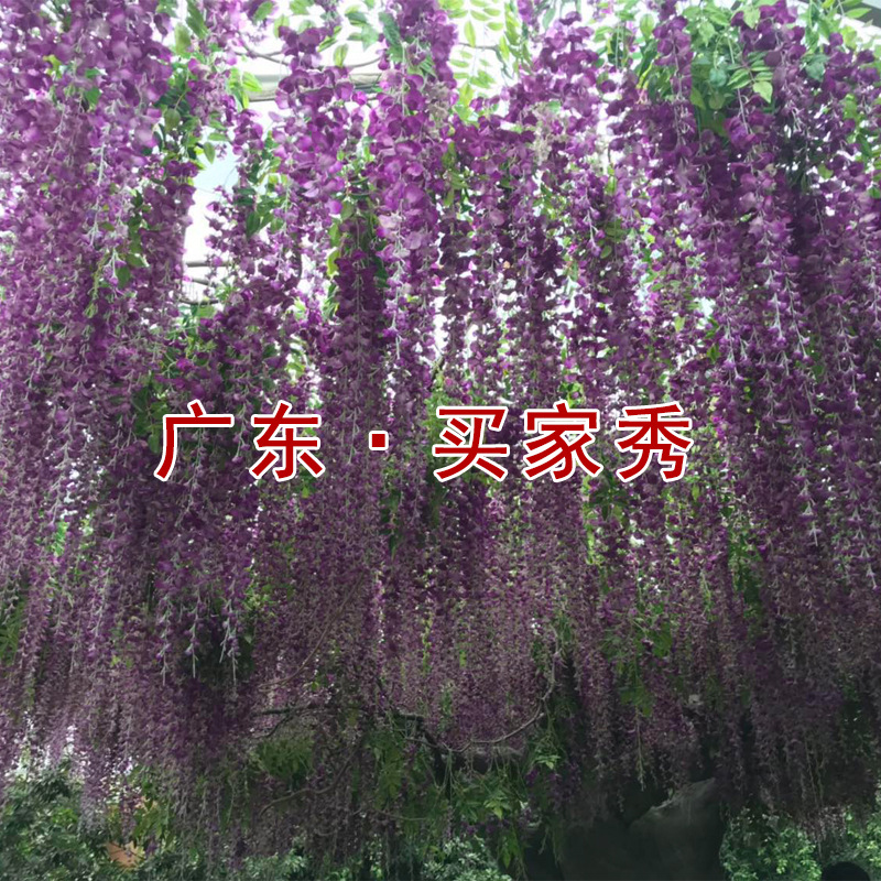 Artificial Wisteria Wisteria Branch Internet Celebrity Corridor Ceiling Wisteria Flower Artificial Flower Plant Wisteria Flower Fake Flower Wholesale Artificial Wisteria Wisteria Branch Internet Celebrity Corridor Ceiling Wisteria Flower Artificial Flower Plant Wisteria Flower Fake Flower Wholesale