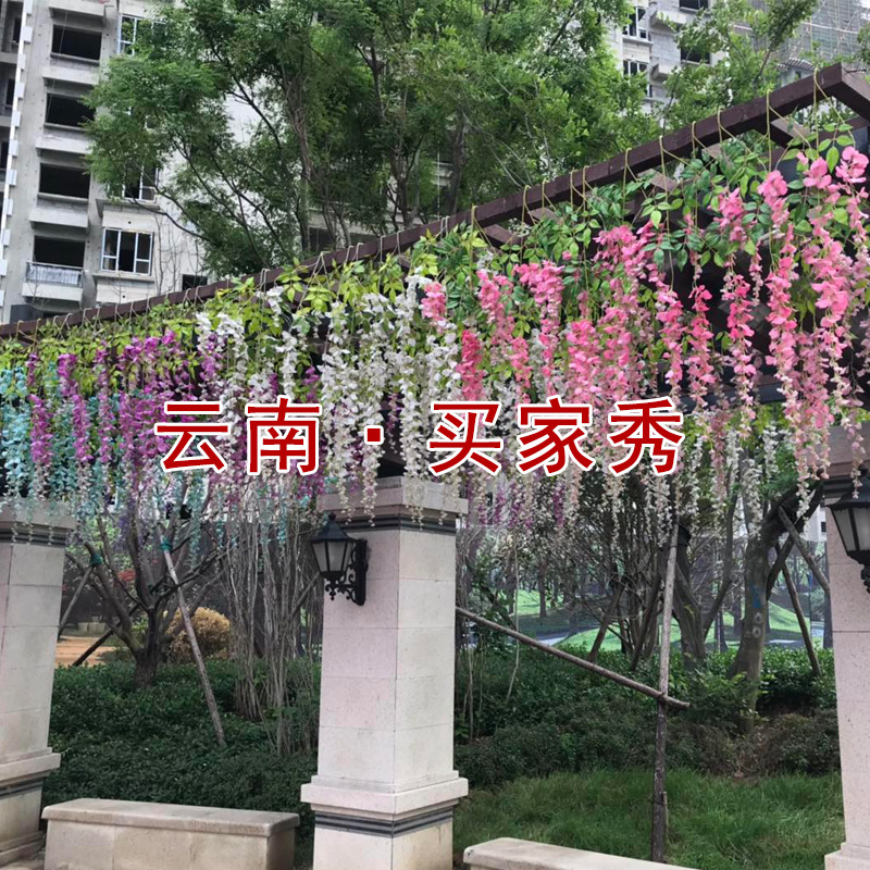 Artificial Wisteria Wisteria Branch Internet Celebrity Corridor Ceiling Wisteria Flower Artificial Flower Plant Wisteria Flower Fake Flower Wholesale Artificial Wisteria Wisteria Branch Internet Celebrity Corridor Ceiling Wisteria Flower Artificial Flower Plant Wisteria Flower Fake Flower Wholesale