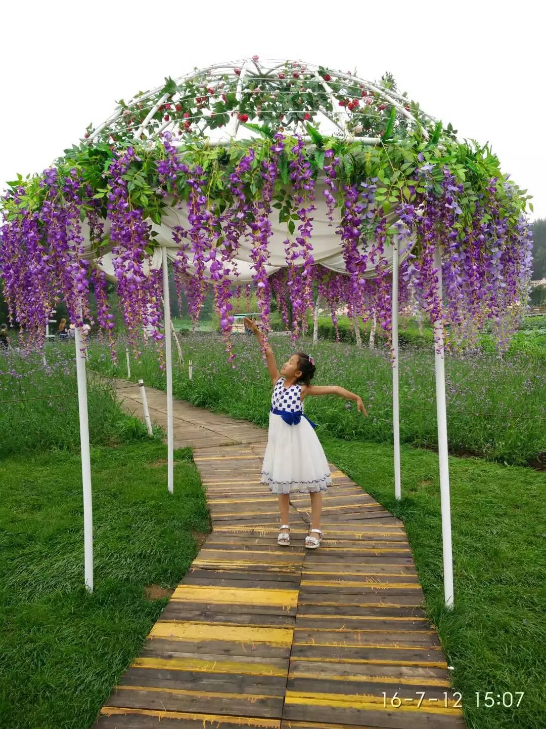 Artificial Wisteria Wisteria Branch Internet Celebrity Corridor Ceiling Wisteria Flower Artificial Flower Plant Wisteria Flower Fake Flower Wholesale Artificial Wisteria Wisteria Branch Internet Celebrity Corridor Ceiling Wisteria Flower Artificial Flower Plant Wisteria Flower Fake Flower Wholesale